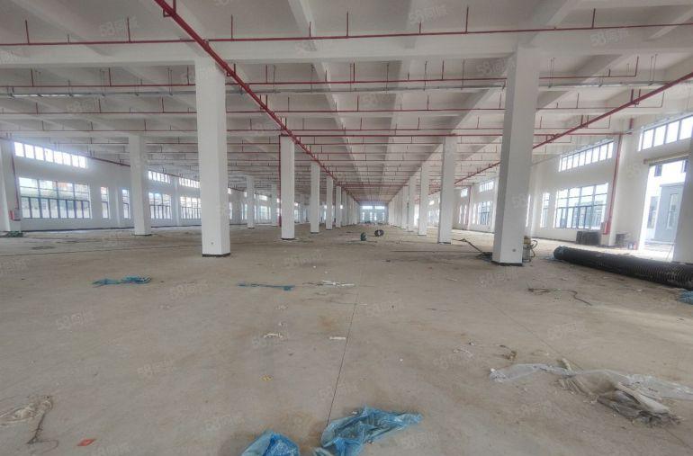 园洲全新红本标准钢构12万平方