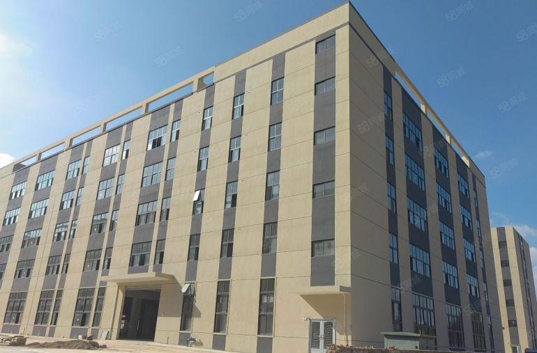 龙溪镇标准工业园7元出租楼上7元一楼8米14元全新工业区原房