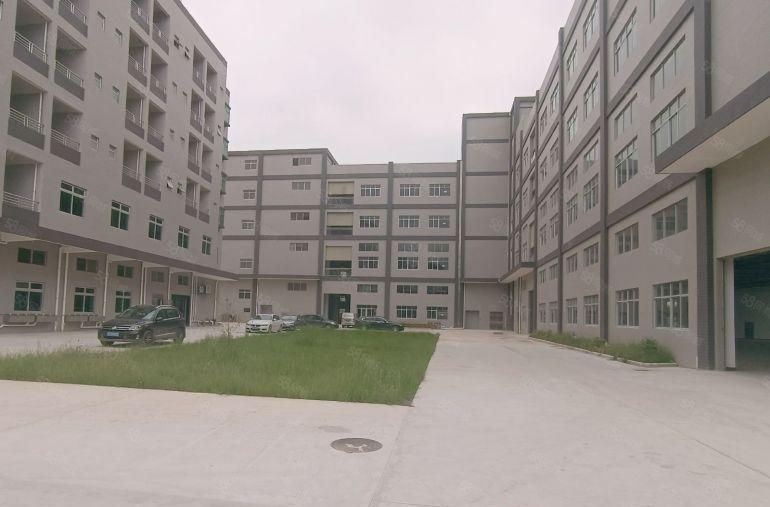 园洲洗水排水漂染印刷印染厂房出租10000平方，大小可以分租