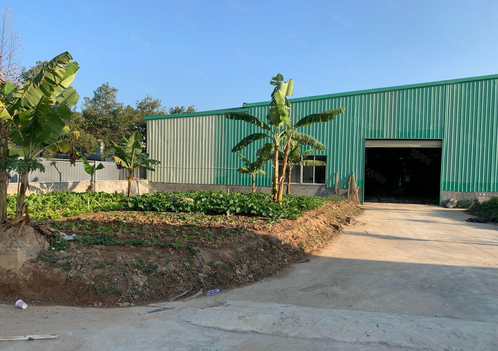 龙溪镇小面积价格便宜位置偏僻厂房出租800400平方