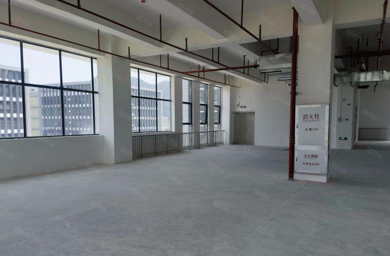 原房东博罗园洲全新标准厂房4000平可分租，玻璃幕墙