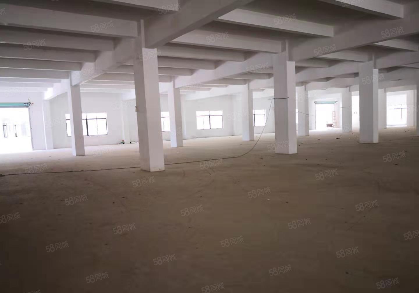 水口工业区新建原房东厂房27500平方出租