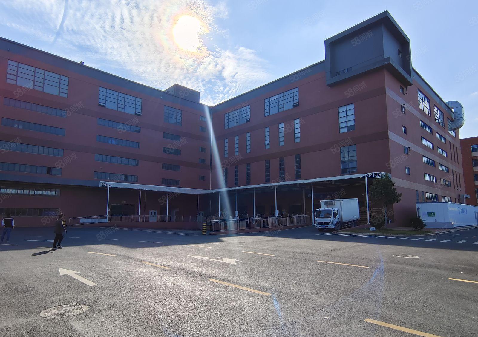 5百1千3千平起租龙溪6万平原房东厂房仓库出租可办环评带红本