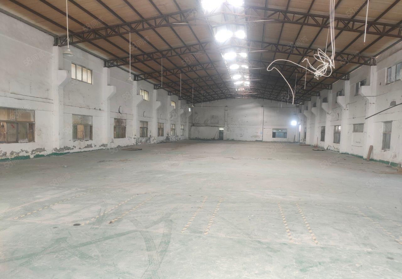 龙溪园区独门独院  超大空地  随时可看