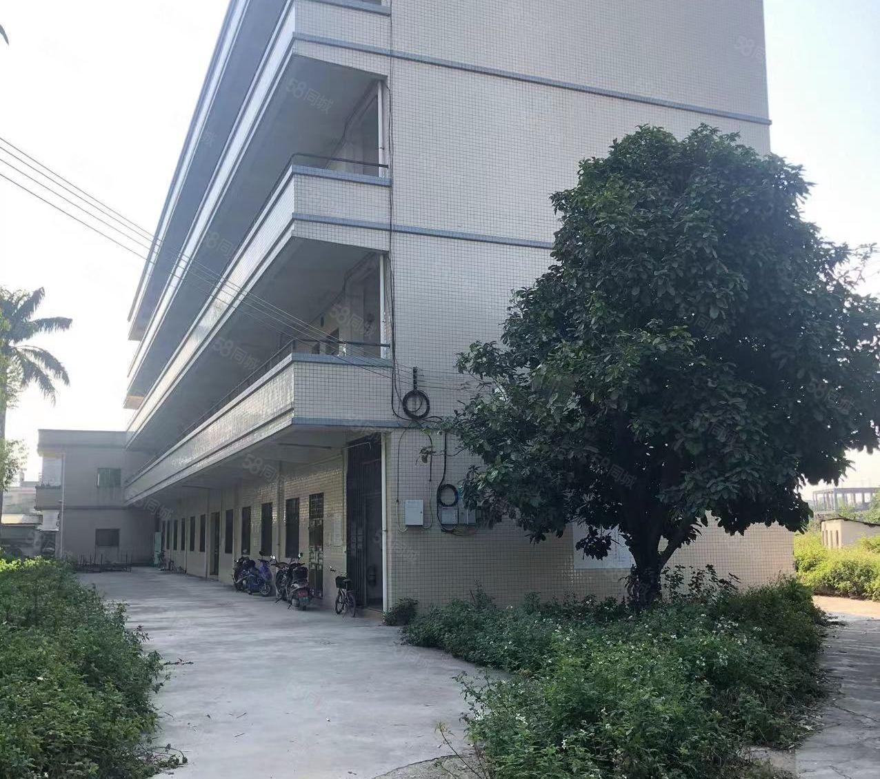 石湾镇原房东独院标准加钢构厂房招租5100平方三层单一层5千