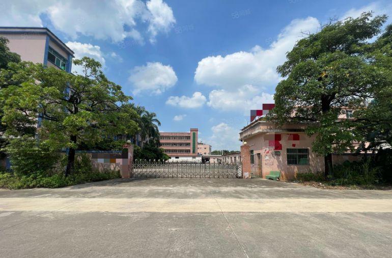 园洲镇原房东标准厂房4000平米，宿舍办公800平米出租