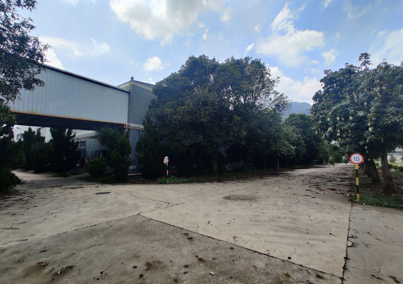 原房东10元起4万平大小分租柏塘杨村钢构高标仓仓库厂房出租