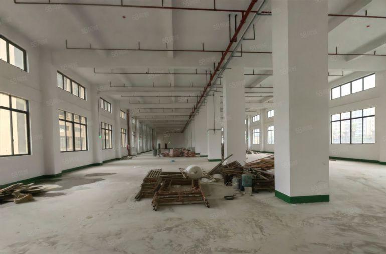 龙溪全新厂房出租 有空地独立厂房 随时入驻 一手房东价格可谈