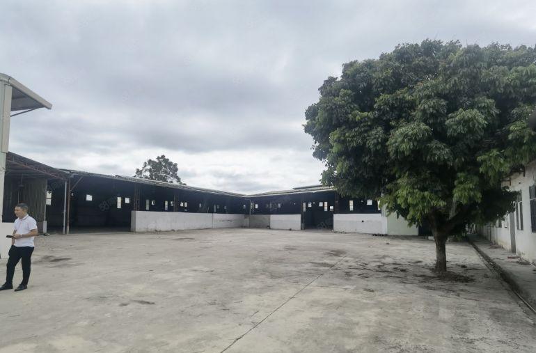 园洲镇原房东独院单一层厂房出租周边无居民