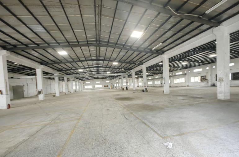 罗阳镇3000平钢构厂房出租，博罗大道边，可分租，原房东厂房