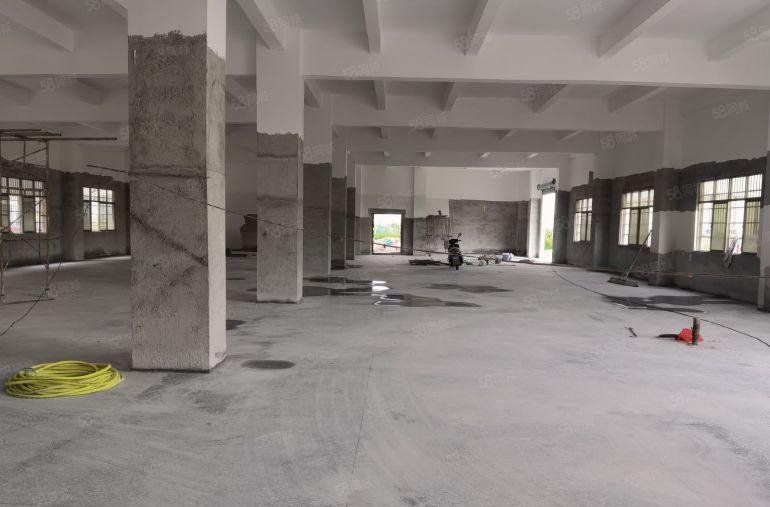 园洲镇原房东独全新标准厂房出租4900平