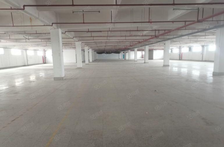 园洲一手房东尾盘4600平只租6块钱实际面积