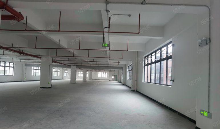 园洲镇原房东全新独栋标准厂房出租，