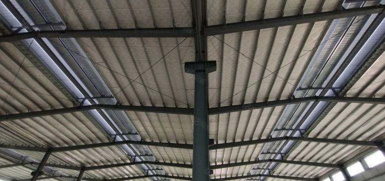 园洲财税补贴5元钢构滴水13米带牛角独院全新原房东现房出租