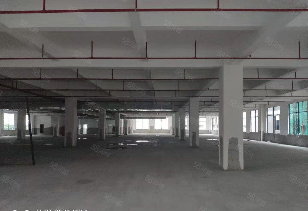 石湾镇科技园独院标准厂房30200平方，500平方起分租