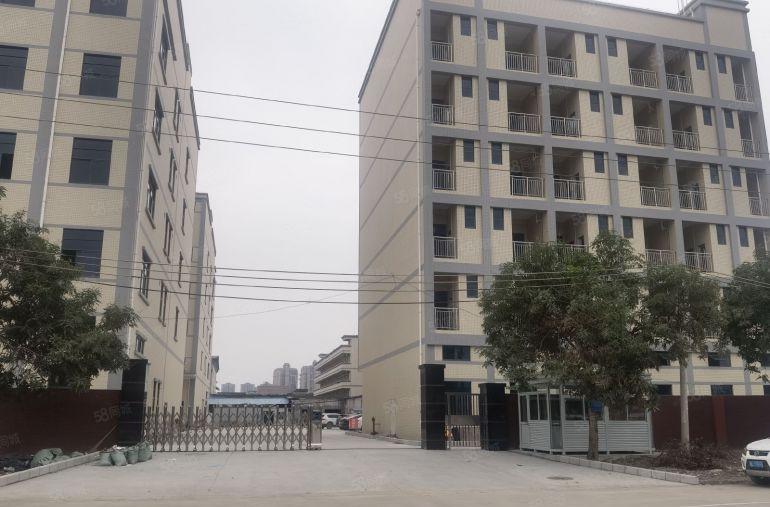 园洲全新独院标准厂房，空地超大