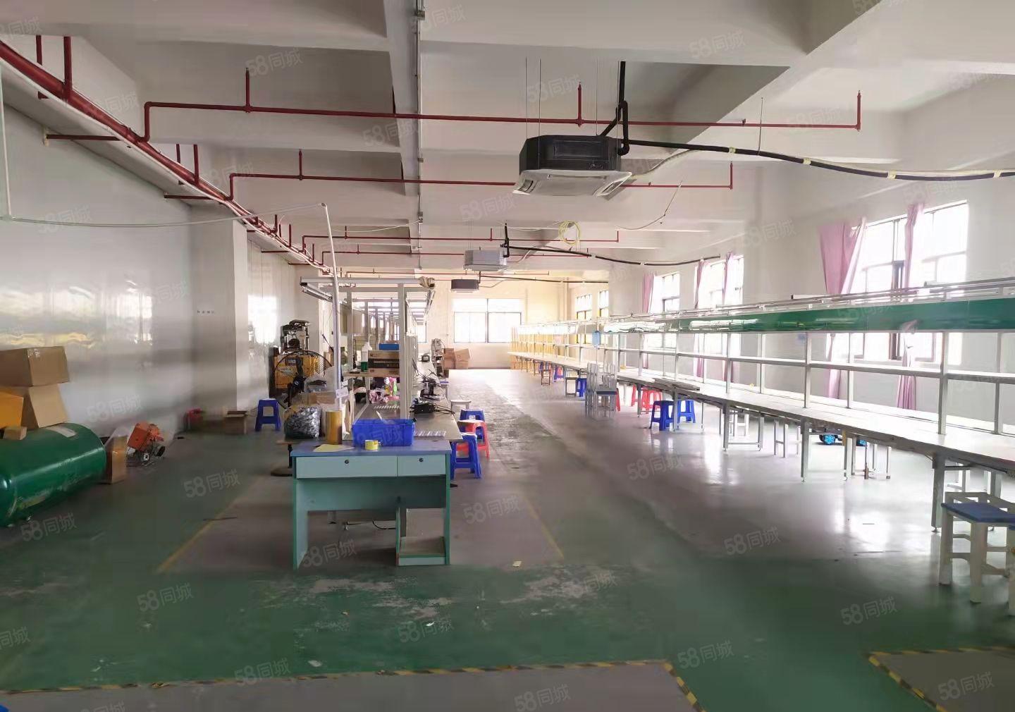 独院三层标准厂房招租5180平方 两部5吨大货梯 空地3千平