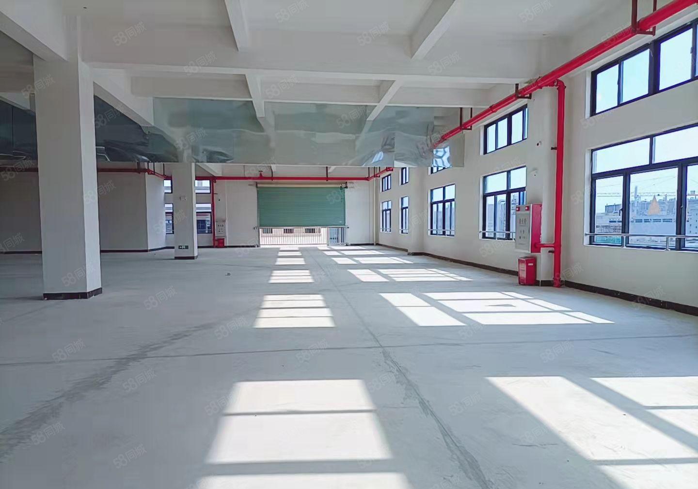 工业园分租厂房 红本证件齐全 可办环评  标准楼房 原房东