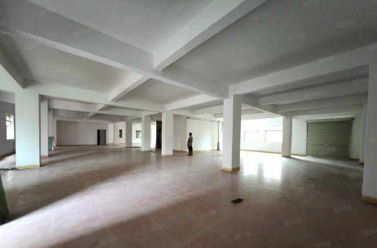 园洲本村老干部厂房6层，每层520平，只要8块钱，有电梯