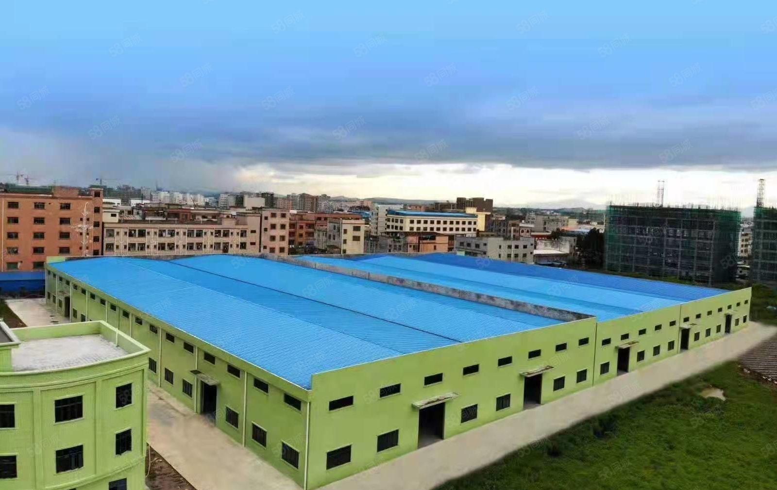 园洲新出原房东独门独院单一层厂房20000平方1000平方起