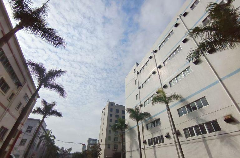 惠州石湾原房东厂房1000平带卸货平台靠高速可办环评实际面积