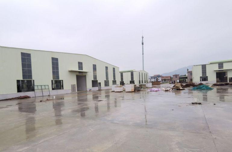 2000平方起租 滴水9米全新钢结构低价出租 有消防喷淋