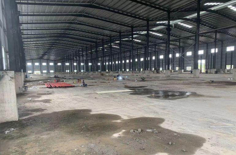 园洲新出原房东新建独门独院钢构21300平带牛角厂房仓库招租