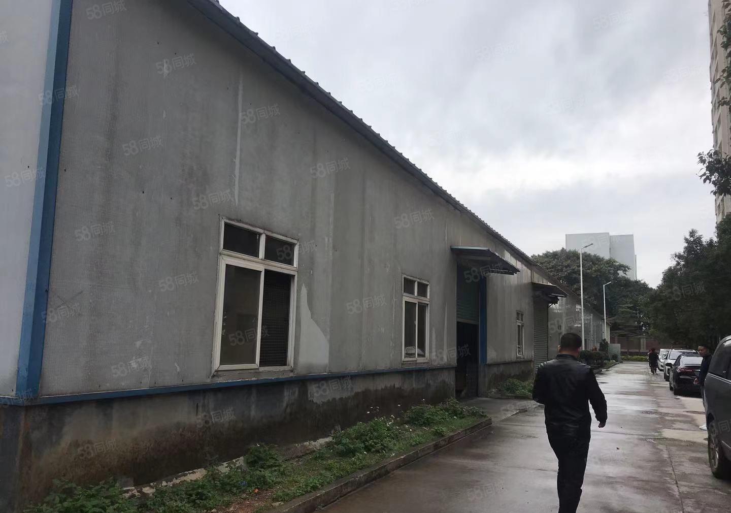 龙溪镇原房东工业园独栋单一层钢结构厂房出租