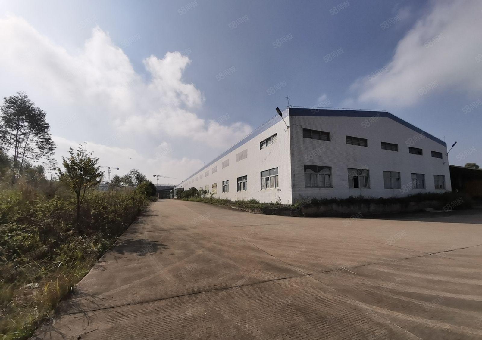 博罗杨村国道旁15000平方独院钢构厂房仓库出租 可分租