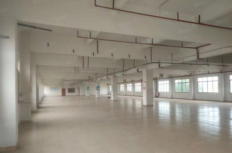 园洲！全新标准厂房二楼，4米高，园洲大道边上！带精装修办公室
