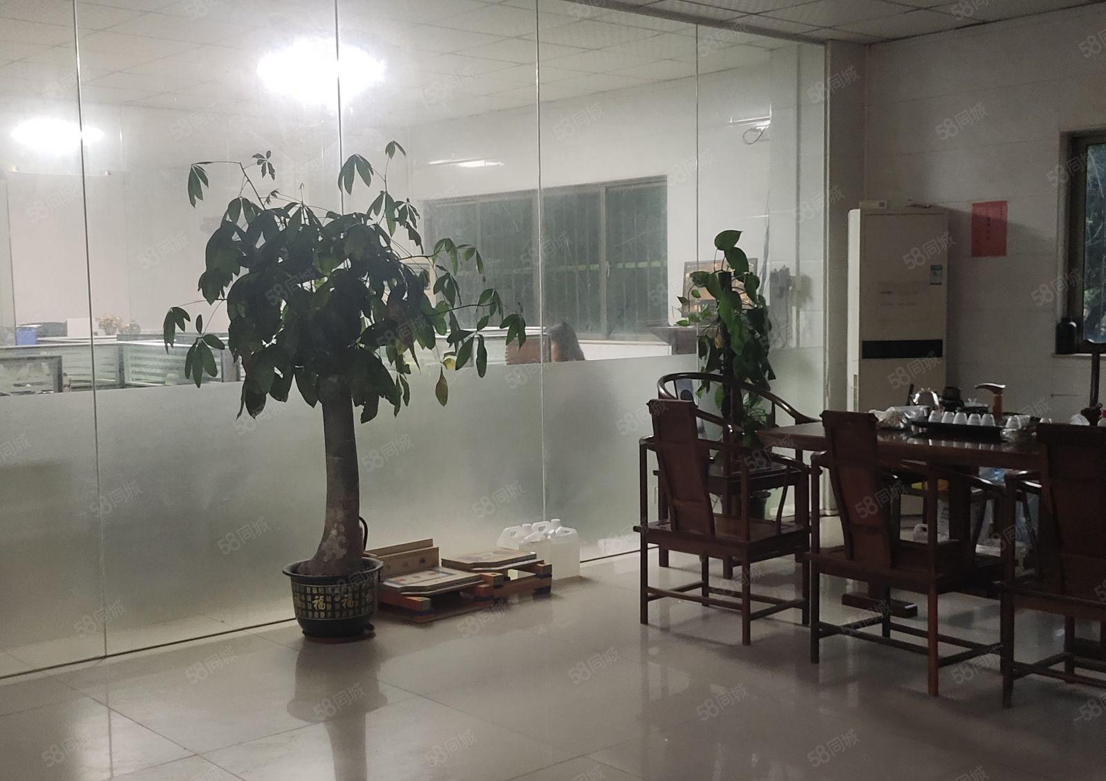 园洲镇原房东単一层独院4500平方超长免租期电可过户