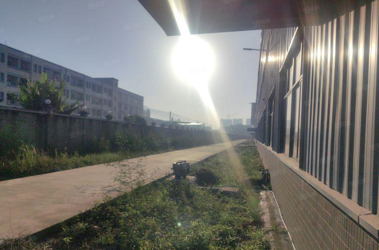 轻钢结构 单一层高13 长100米 宽50米 可办环评