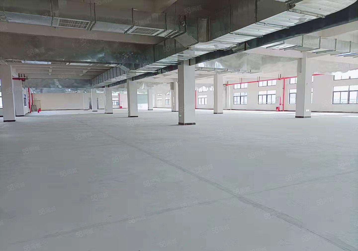 工业园分租厂房 红本证件齐全 可办环评  标准楼房 原房东