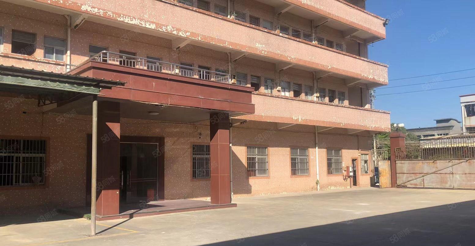 园洲新出原房东独门独院单一层厂房5800平方宿舍1200平方