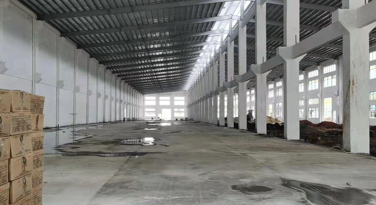 博罗新出13米高刚牛长度200米带牛角可喷油漆