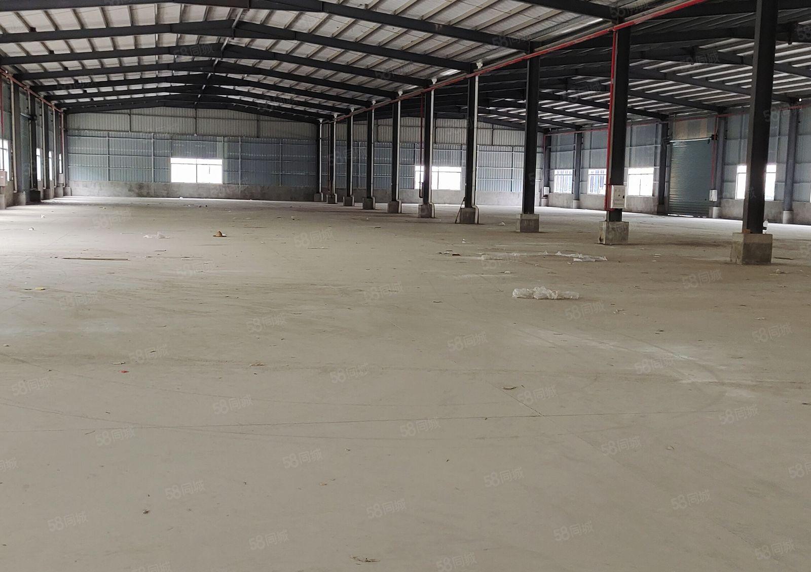 石湾大道也单一层钢构厂房5000平方，500平方起分租