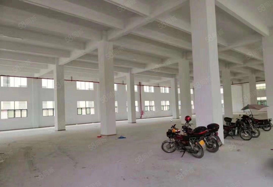 石湾镇独院原房东标准厂房9200平方，宿舍1200平方出租！