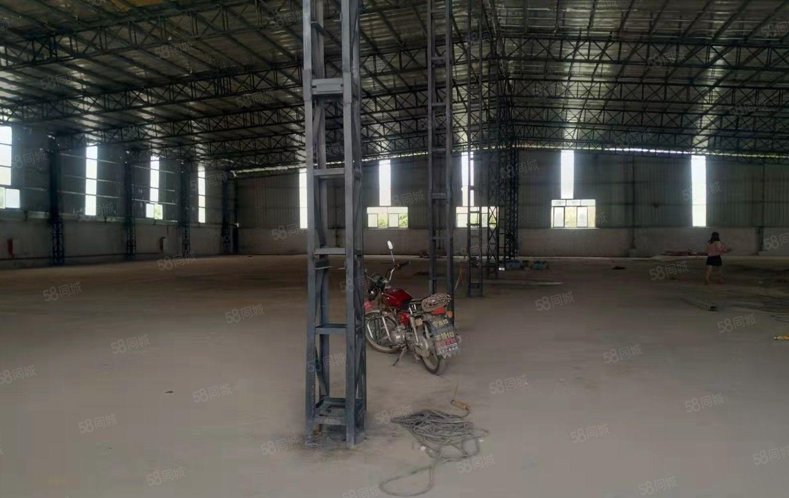 龙溪镇独门独院单一层厂房出租