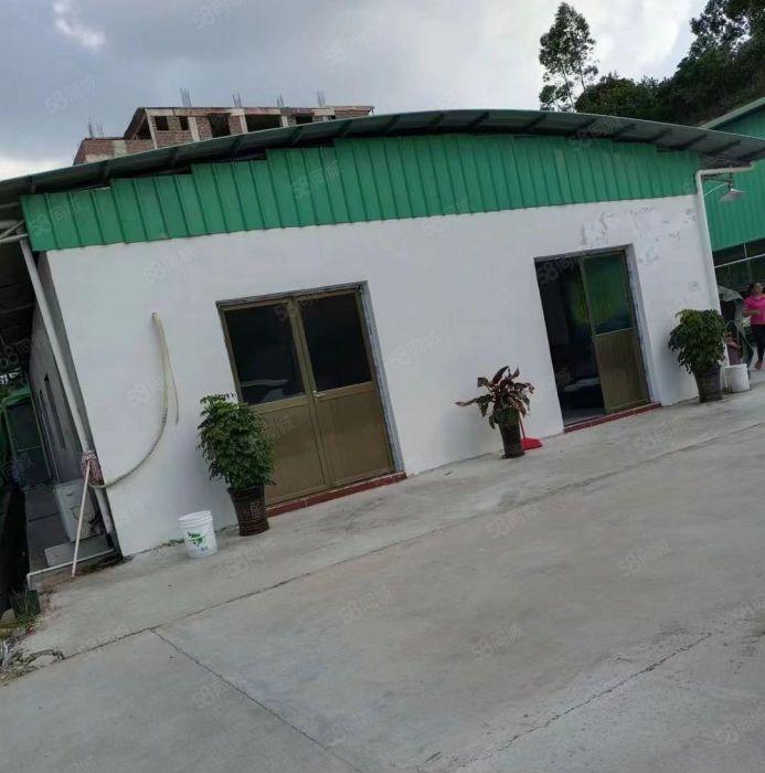 博罗稀有原房东独院2600平钢结构空地1500平电315