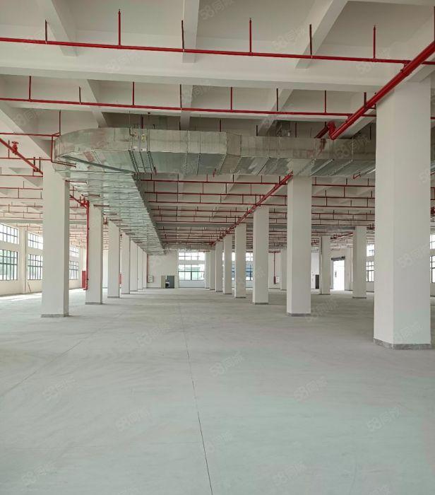 石湾镇标准独院厂房出租面积4700平方空地大容易招工