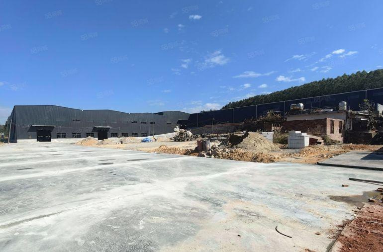 园洲镇 原房东13米高重工业钢构独院厂房12000平米出租！