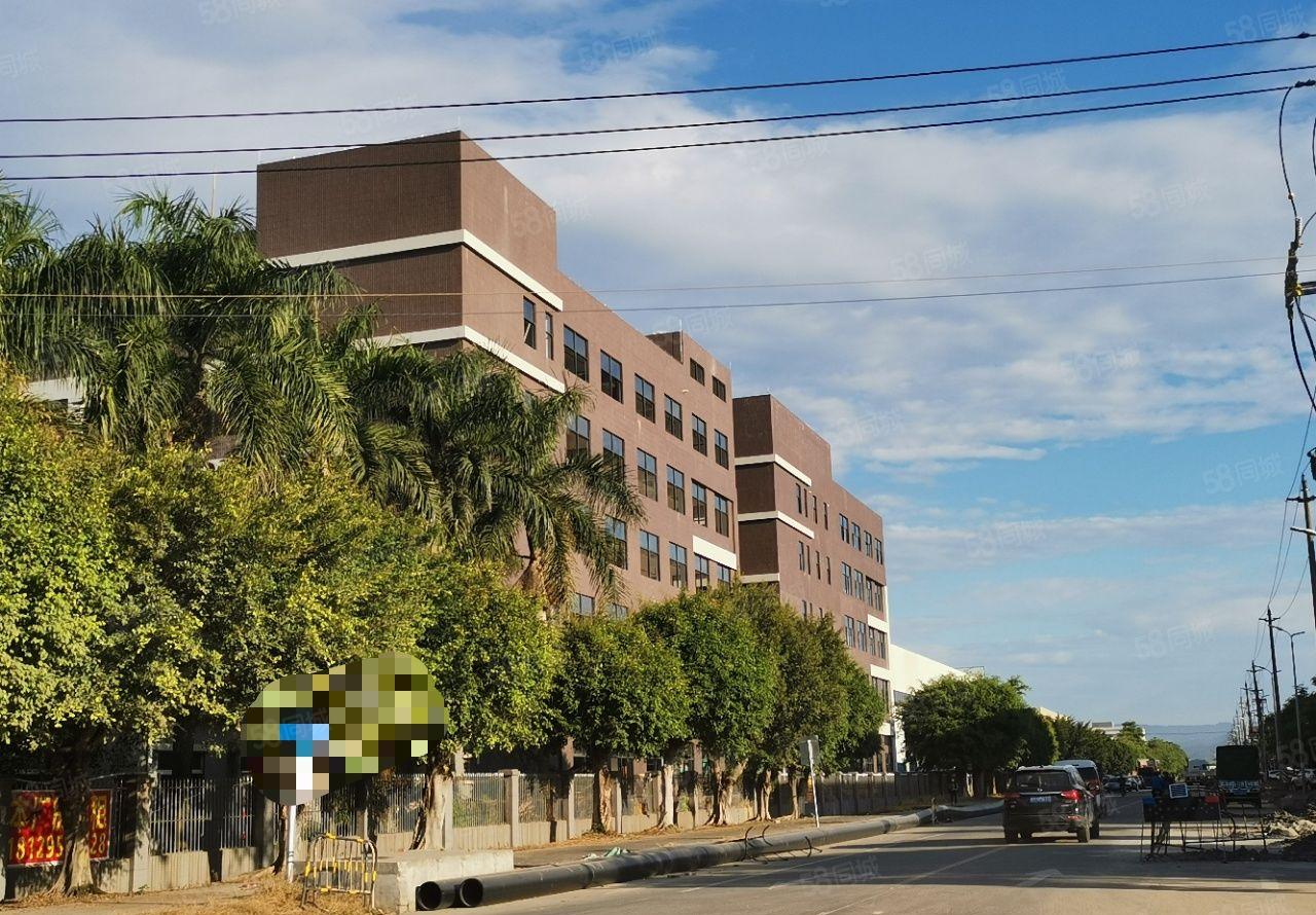 石湾大型成熟工业区1000方起租，红本独院天然气雨污分流厂房