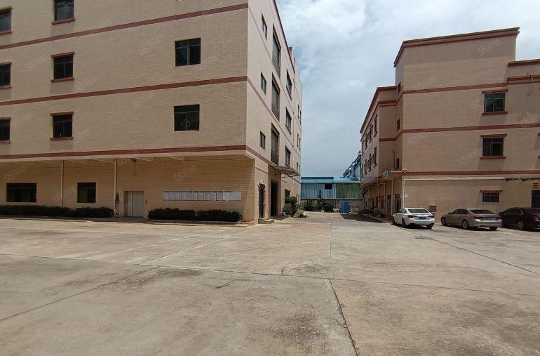 园洲镇原房东独院标准厂房出租仓库出租，空地大证件齐交通方便