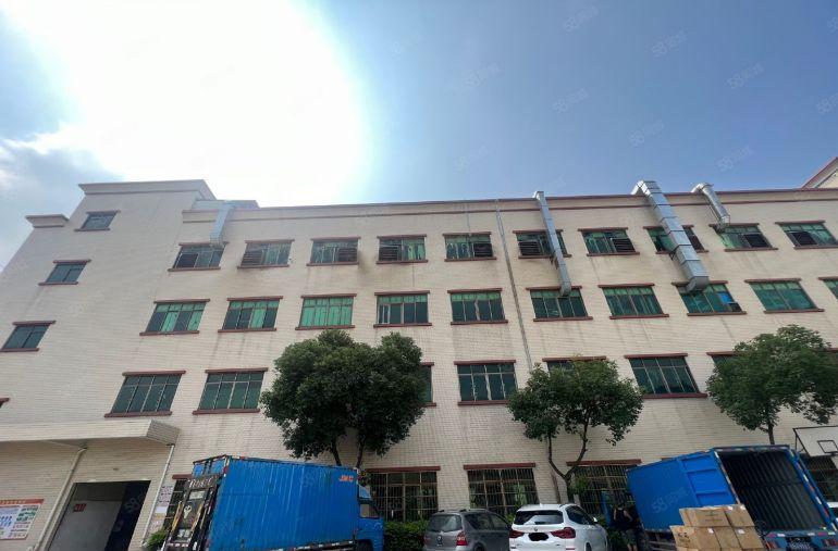 园洲！新出原房东！标准带喷淋！