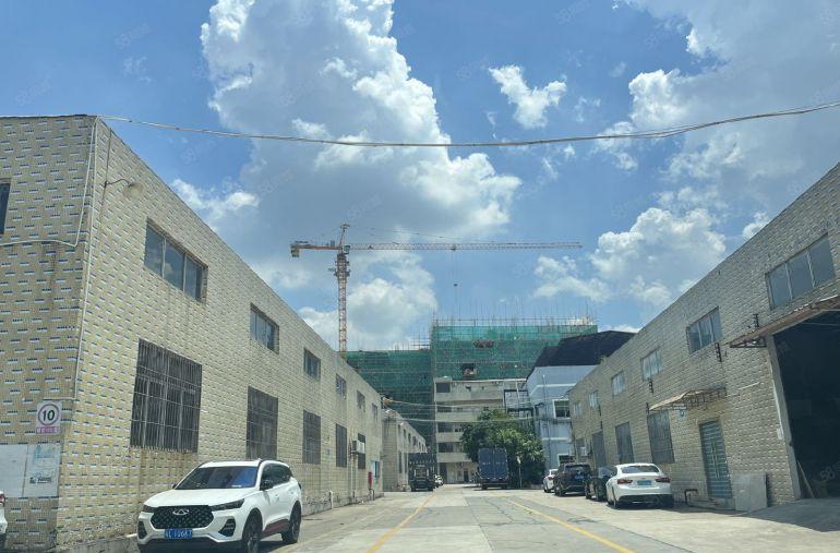 园洲镇靠近东莞单一层砖墙到顶2000平方便宜出租