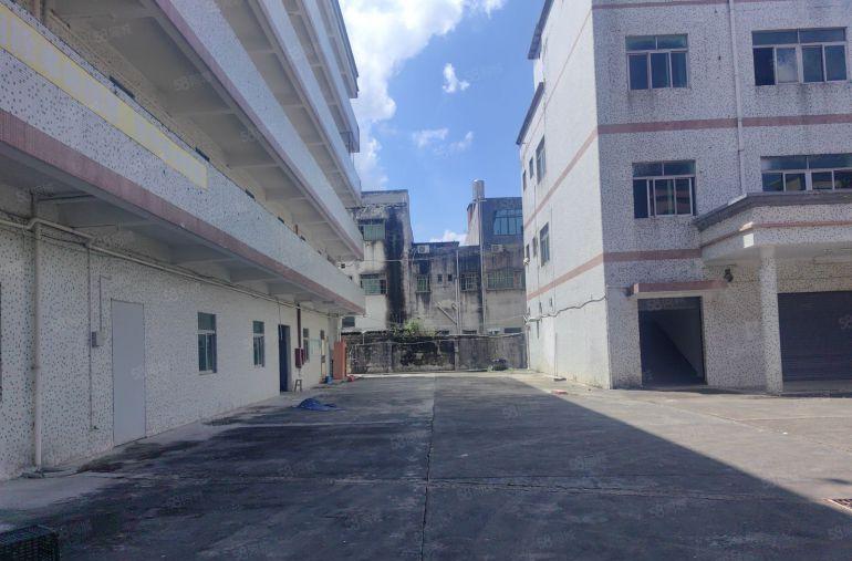 桥头隔壁独院带办公室宿舍食堂厂房出租带独立院子