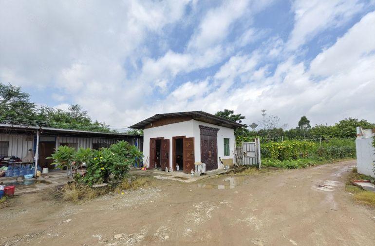 园洲镇原房东独院单一层1200平