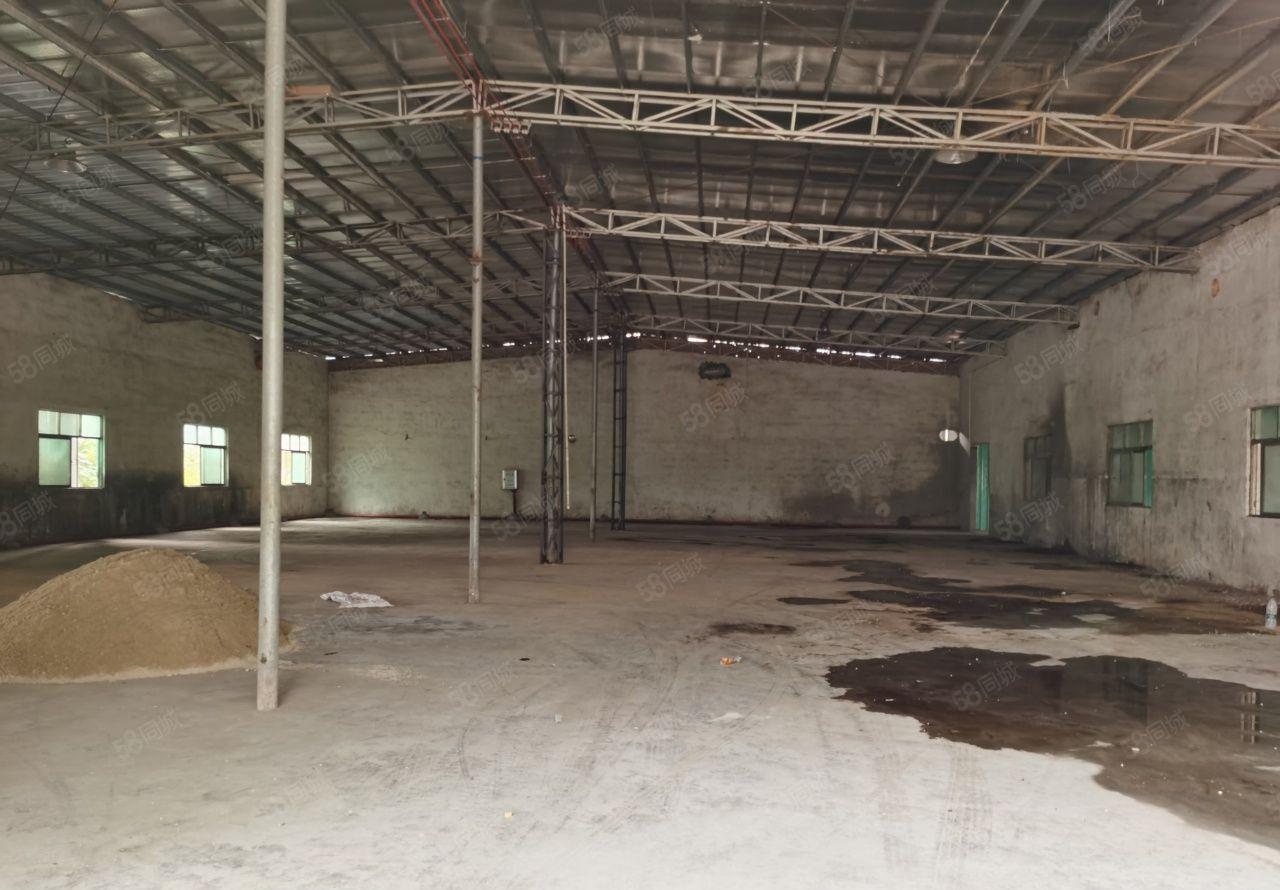 龙华独院厂房出租超大空地价格便宜