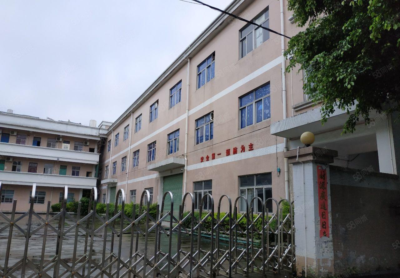 石湾成熟工业区厂房出租 可办环评 宿舍饭堂等配套齐