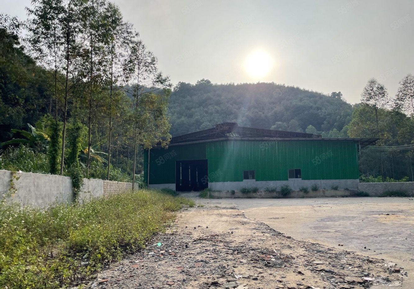 石湾镇新出山脚下周边无居民交通方便原房东独院单一层1600